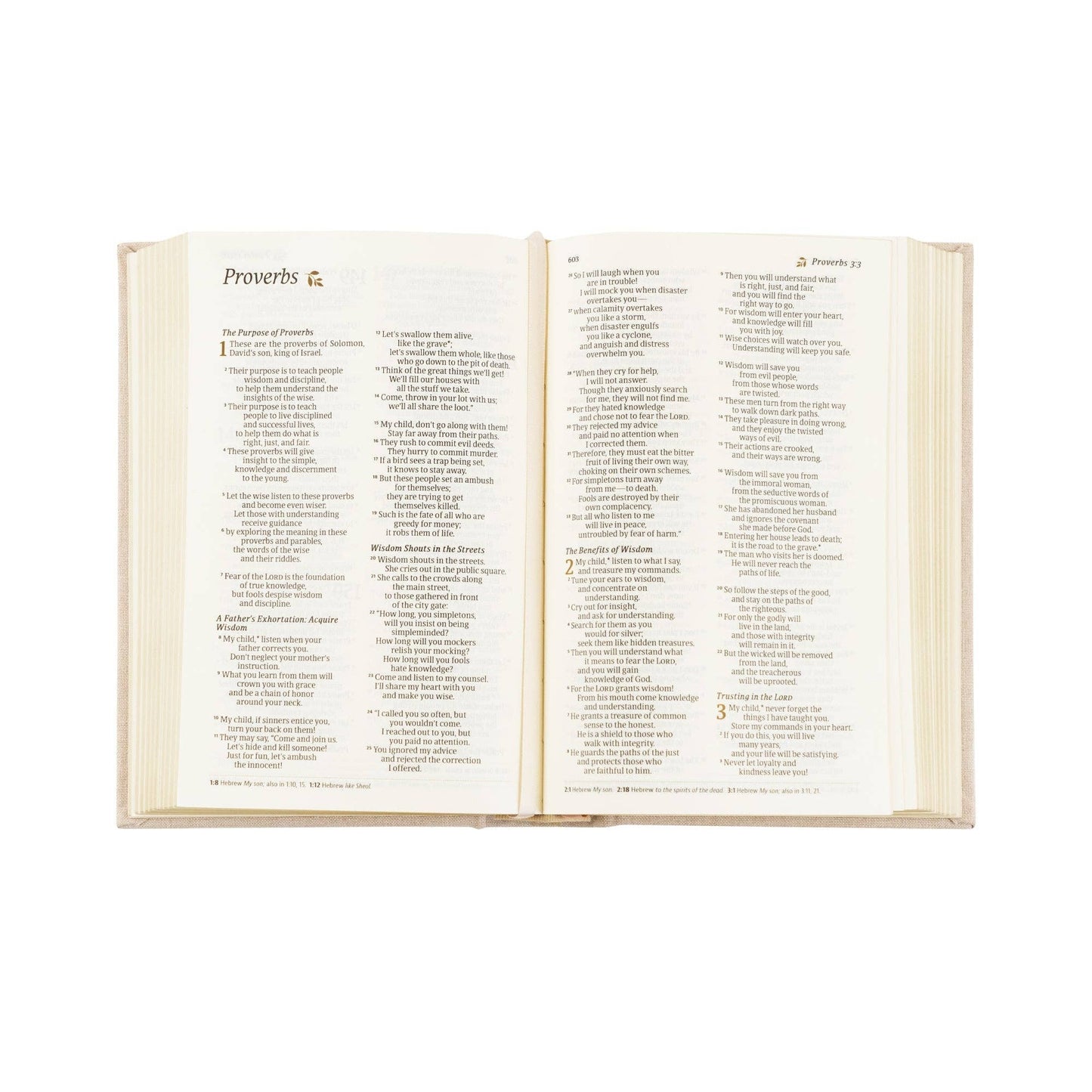 NLT Compact Bible: Casablanca Theme