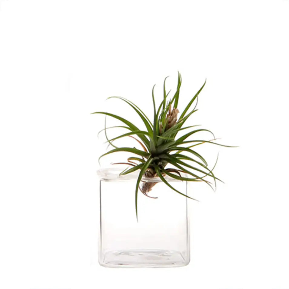 Chive Hudson 4 Cube Vase