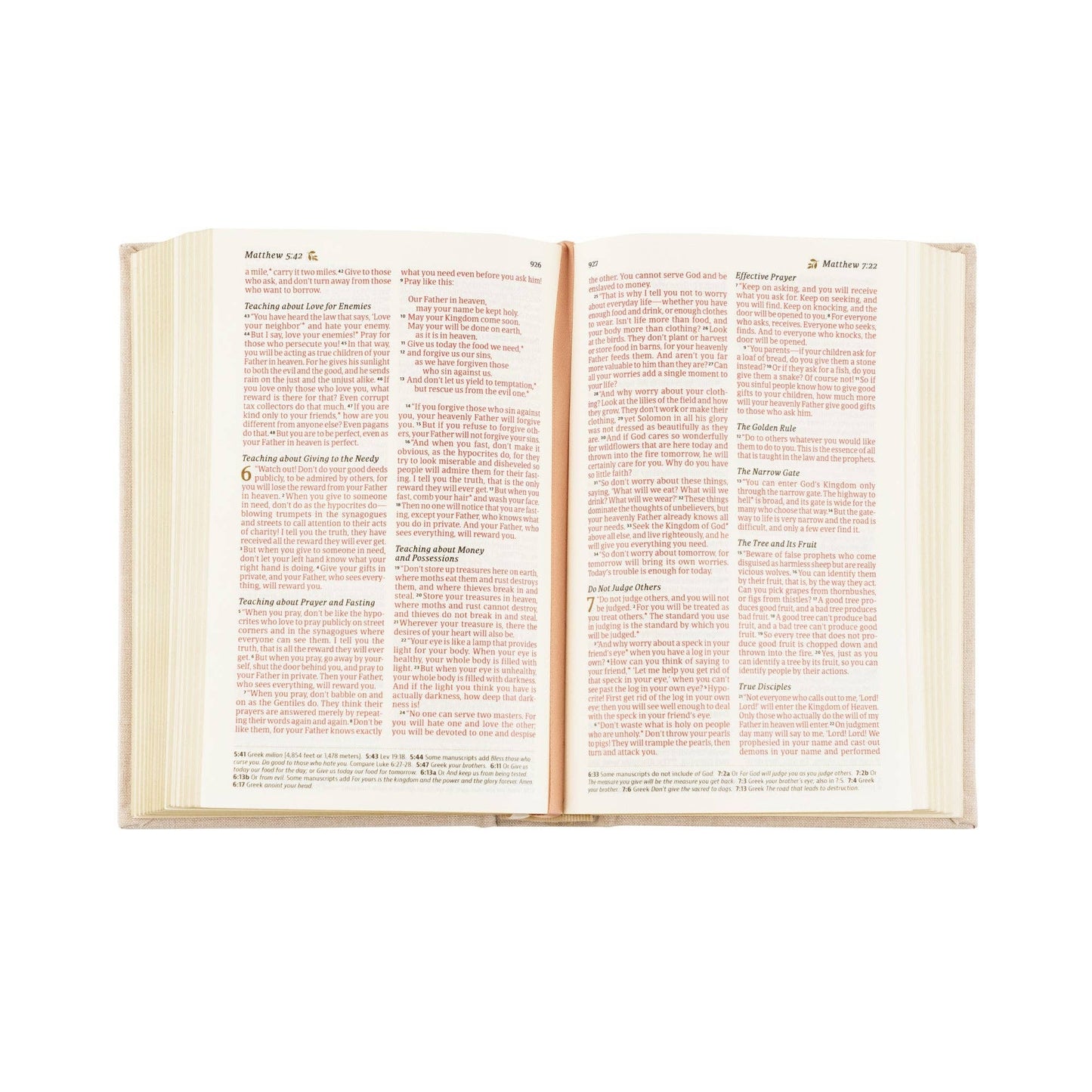 NLT Compact Bible: Casablanca Theme