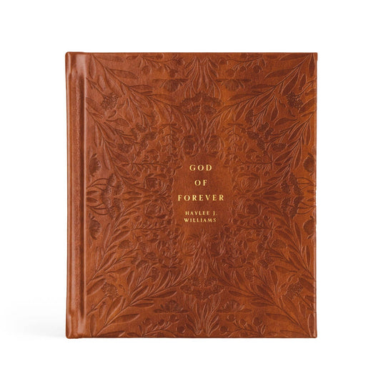 God of Forever by Haylee J. Williams