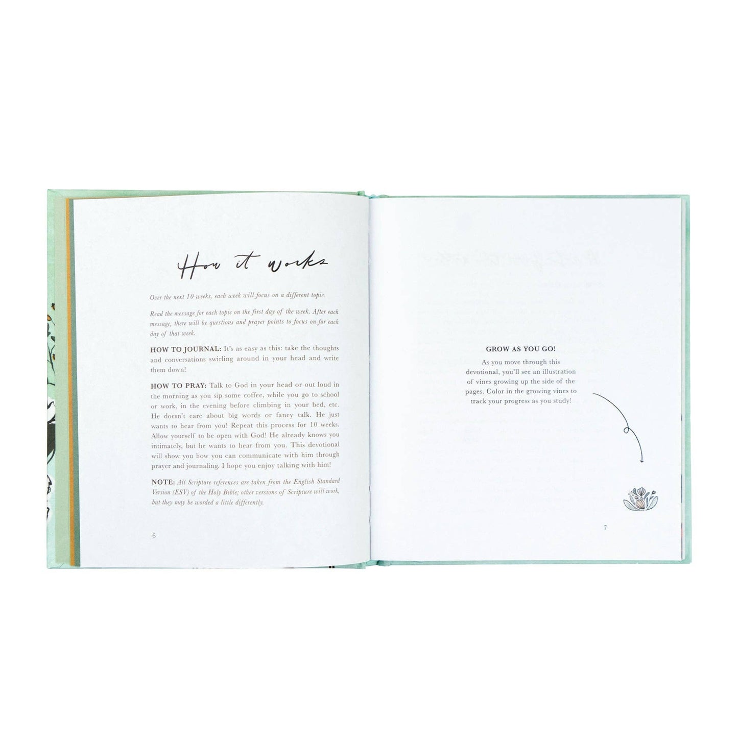 Rooted to Rise by Haley Crabtree